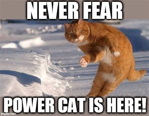 Power Cat Imgflip