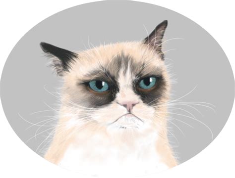 Collection Of Png Grumpy Cat Pluspng