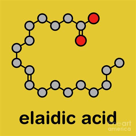 Elaidic Acid Molecule Photograph By Molekuulscience Photo Library Pixels