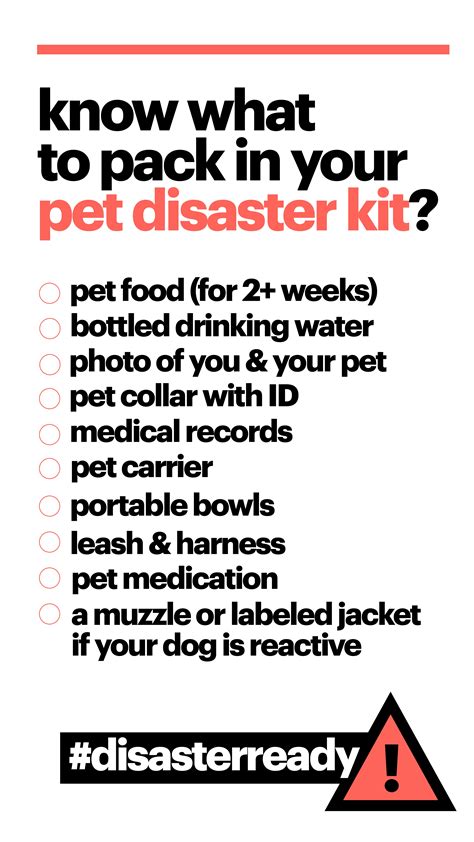 Dog & Cat Disaster Kit : Pet Emergency Preparedness Plan