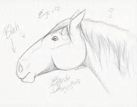 Simple Horse Head Drawing At Getdrawings Free Download
