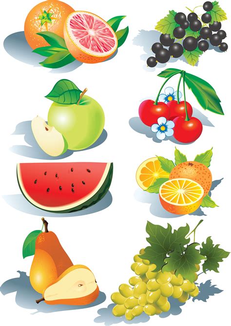Free Vector Fruits Vector Graphic Available For Free Download At
