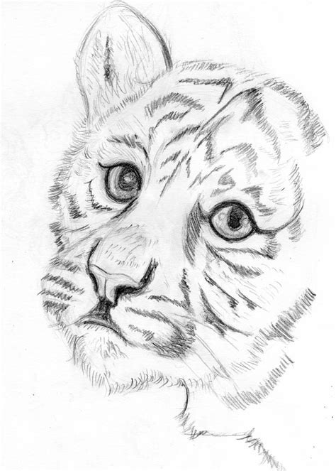 Tiger Cub By Guerredesmiroirs On Deviantart