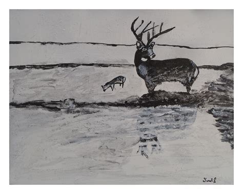 Black And White Deer Artwork Animal Artwork Original Painting
