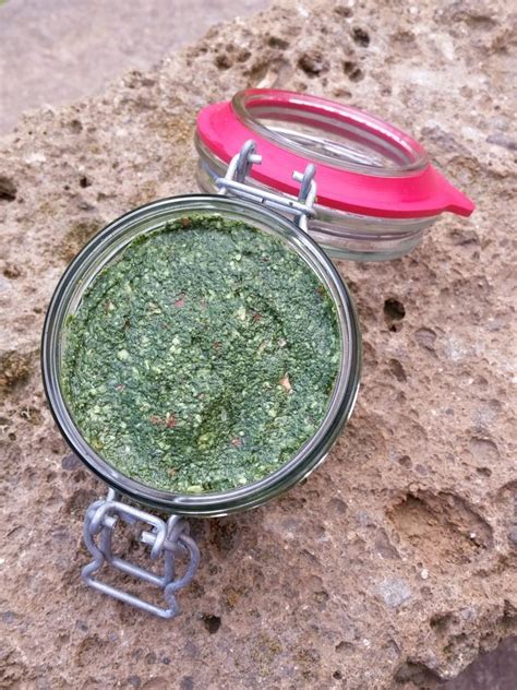 Il latte, ovviamente, è prodotto sia nella donna che da altri mammiferi di sesso femminile, ma ciò non significa. Pesto di Ortiche - la ricetta |Dietista Paola Chiari - Cremona