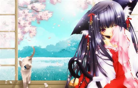 Wallpaper Cat Sakura Art Girl Neko Ears Images For Desktop