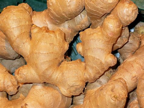 Free Photo Ginger Vegetables Free Image On Pixabay