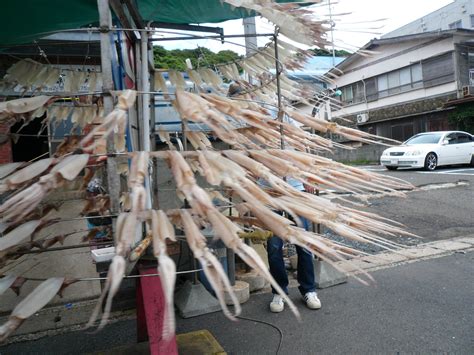 Drying Squids By Rotation At Yobuko Japan
