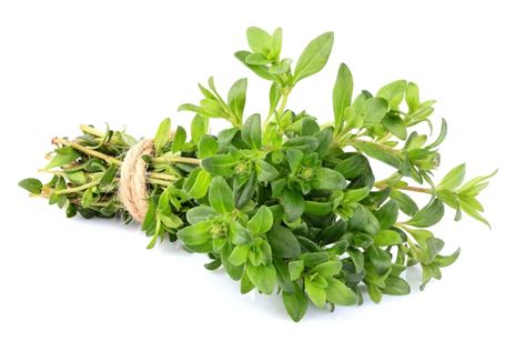Top Health Benefits Of Thyme And Its Side Effects