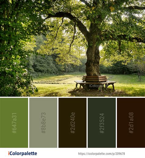 Nature Inspired Color Palette Ideas