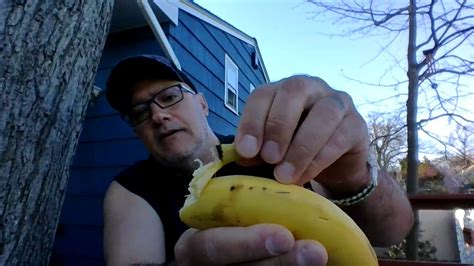 Super Banana 2 Genetic Engineering Youtube