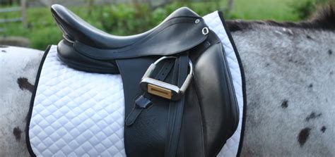 The 5 Best Dressage Saddles For You And Your Horse Equineigh