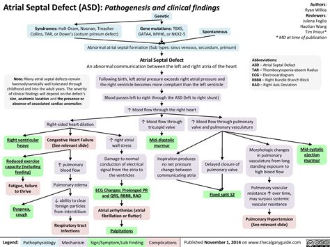 Atrial Septal Defect Pathogenesis And Clinical Findings Calgary Guide 58788 Hot Sex Picture