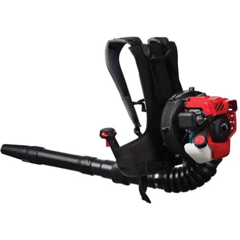 Top 7 Best Backpack Leaf Blower To Buy In 2020 Buyers Guide And Review