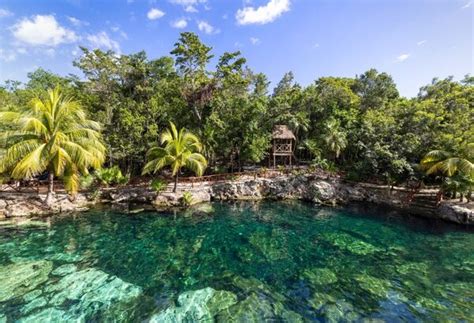 Tres Experiencias únicas Para Disfrutar En Las Aguas De La Riviera Maya