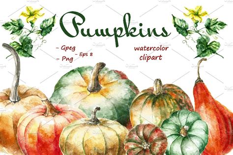 Watercolor Pumpkins Clipart Illustrations ~ Creative Market