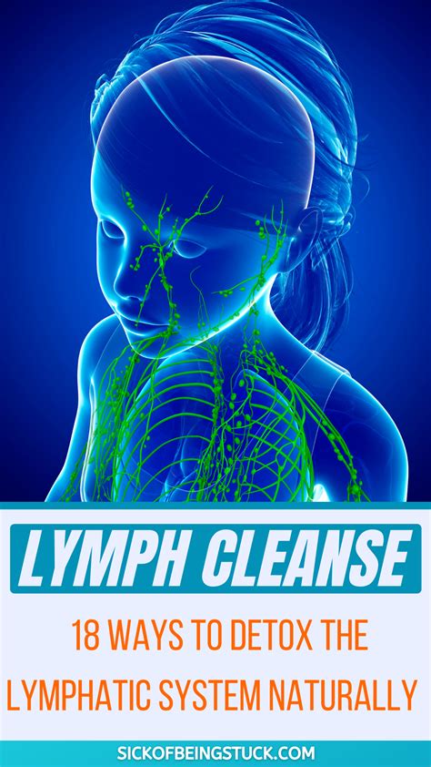 Lymph Cleanse 18 Ways To Detox The Lymphatic System Naturally In 2021