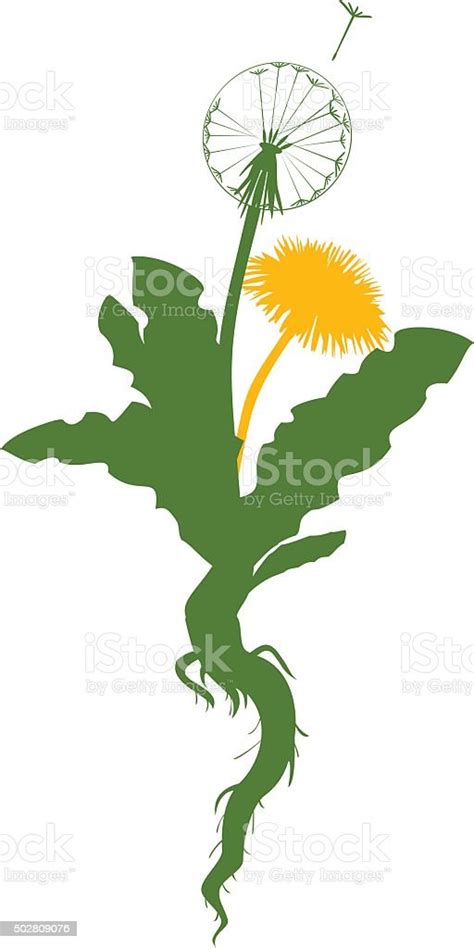 Silhouette Of Dandelion Stock Illustration Download Image Now Istock