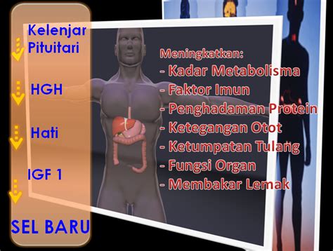 We did not find results for: Rawat Kencing Manis: kaitan Diabetes dan Bio Factor 9