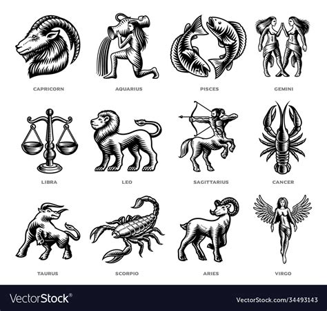 Black And White Zodiac Signs Set Royalty Free Vector Image