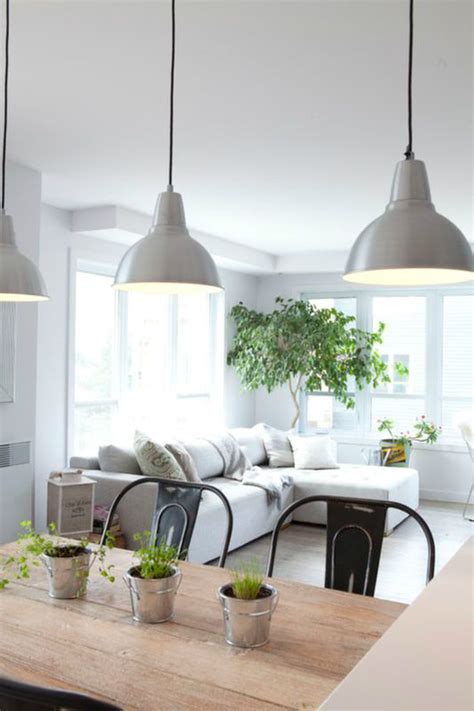 Minimalist Living Room Ideas With Plants