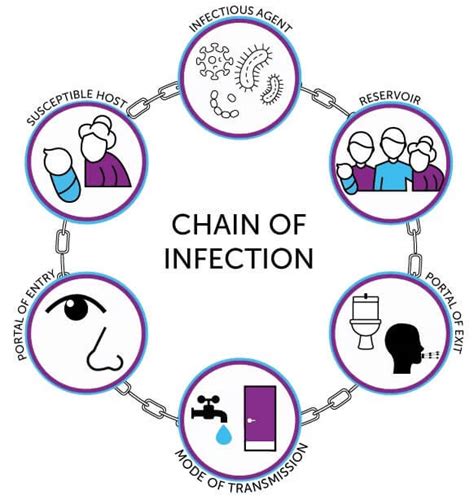 What Is The Chain Of Infection And How To Break It Mun Global Malaysia