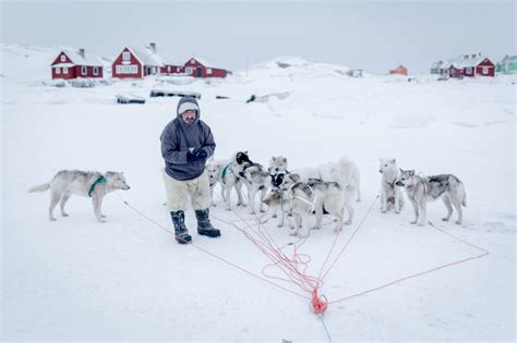 Greenland Dog Sledding Cultural Immersion 3 Days2 Nights