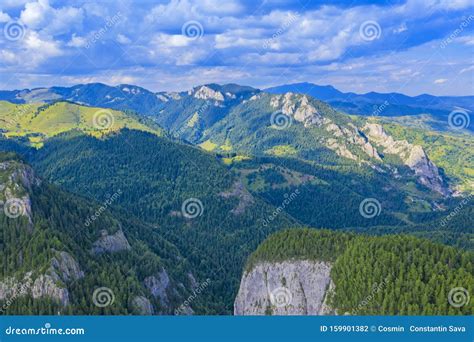 Rocky Mountain And Green Forest Stock Photo Image Of Random Forest