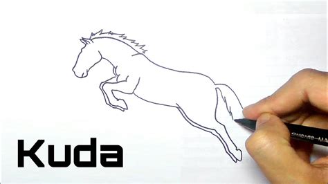 Cara Menggambar Kuda Yang Keren Gampang Diikuti Youtube