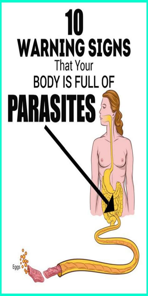 10 warning signs that your body is full of parasites warning signs body parasite