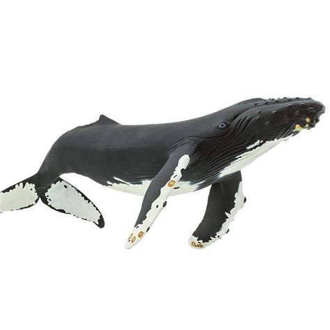 Humpback Whale Toy Safari Ltd®