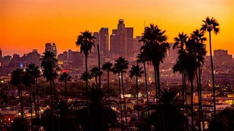 City Palm Trees Sunset Buildings Skyscrapers Los Angeles 4k Hd
