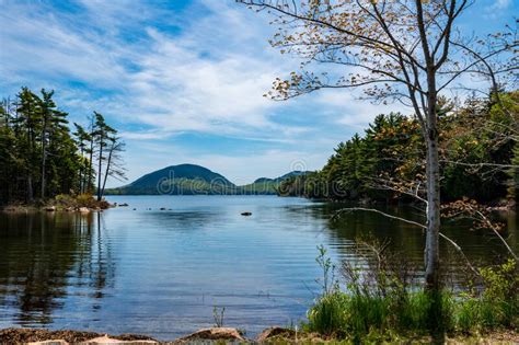 Eagle Lake In Acadia National Park Stock Image Image Of Leaves