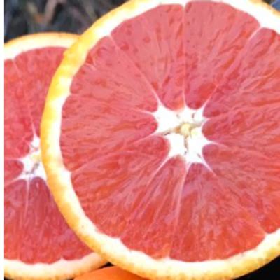 The cara cara is an exciting newer navel orange with beautiful deep pink flesh and a sweet flavor. Red Navel (Cara Cara) Orange Tree - Bob Wells Nursery - U ...