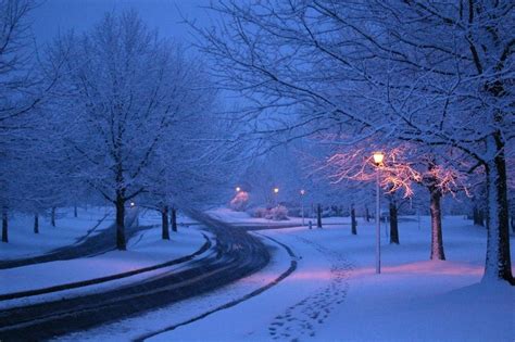 Color Photography Snowy Night Trees Street Light Lamp