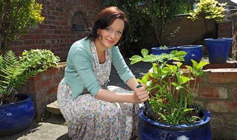 How Being Green Fingered Can Chase Away The Blues Garden Life