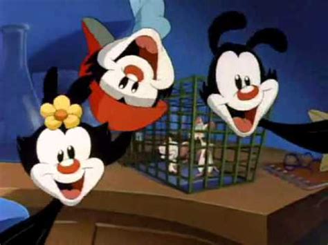 And in her new friends, she. Animaniacs - Pinky and the Brain Intro 1 Dutch - YouTube