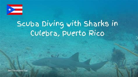 Scuba Diving With Sharks At Culebra Island Puerto Rico YouTube