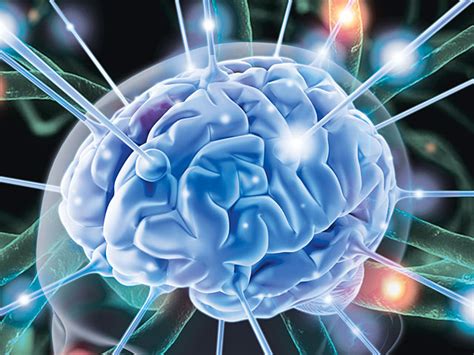 Scientists Develop Electronic ‘sex Chip To Be Implanted Into The Brain