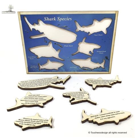 Shark Species Educational Wooden Puzzle Touchwoodesign