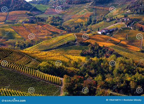Beautiful Autumnal Vineyards Of Piedmont From Above Stock Image