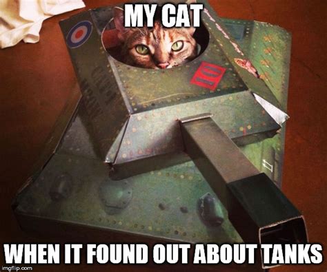 Tank Cat Imgflip