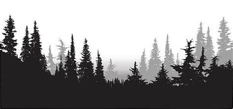 Image Result For Mountain Treeline Clipart Forest Silhouette Tree