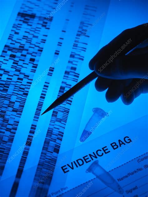 Forensic Evidence Stock Image F0049182 Science Photo Library