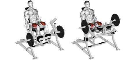 Vindicating The Leg Extension How To Build Great Quads Safely With