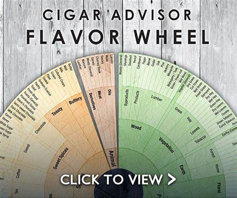 The Cigar Advisor Cigar Flavor Wheel Cigars And Whiskey Cigars