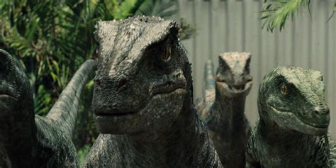 Categoriapadoquesrecintos De Dinossauros Jurassic Park Wiki Fandom