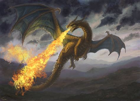 Dragon Fire Dragons Fandom