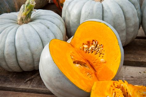 10 Pumpkin And Winter Squash Varieties You Should Know The Washington