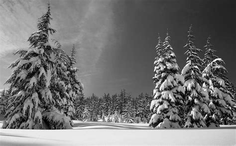 Beautiful Black And White Winter Wonderland Photograph By Artpics Pixels